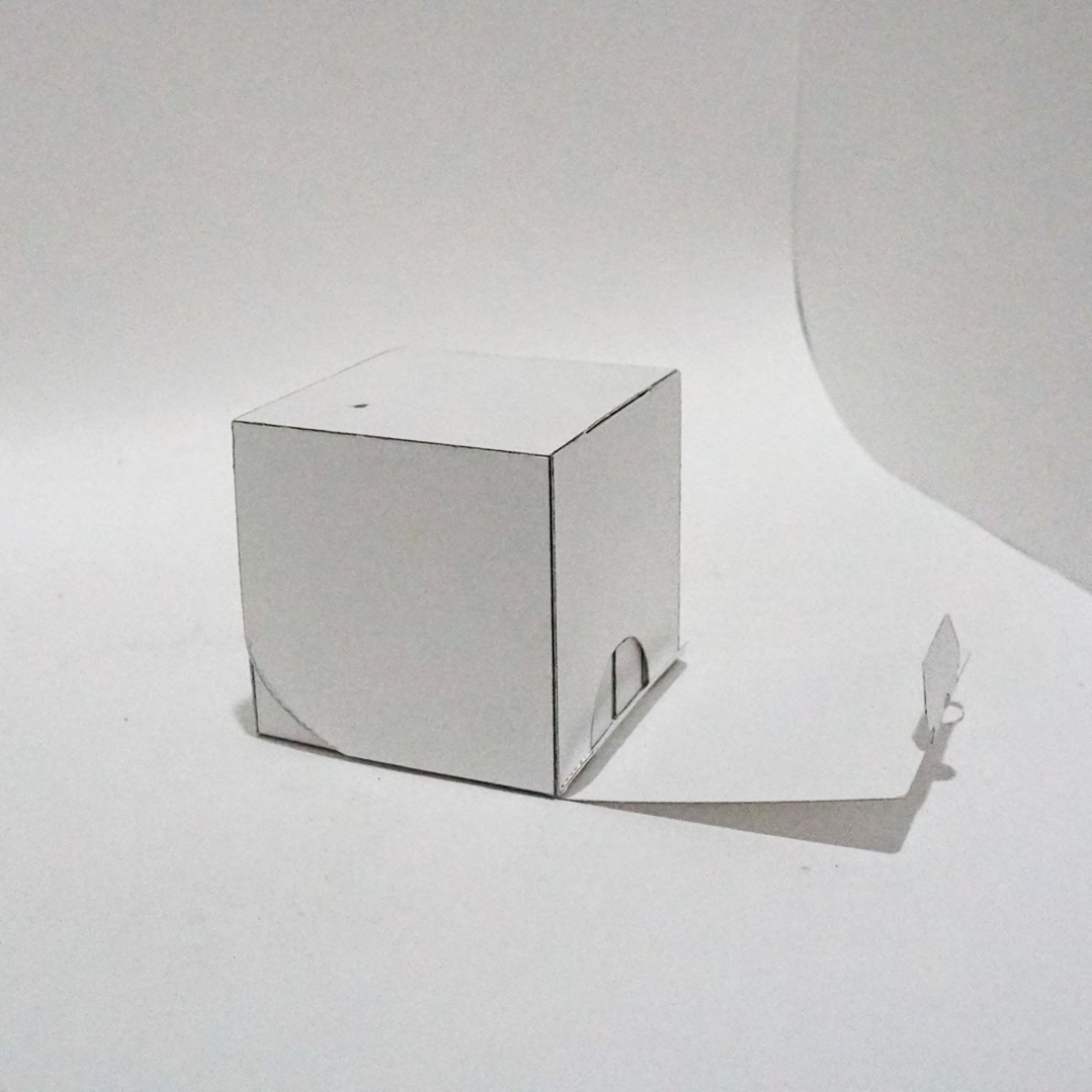 Ento Logo Packaging Prototype 2