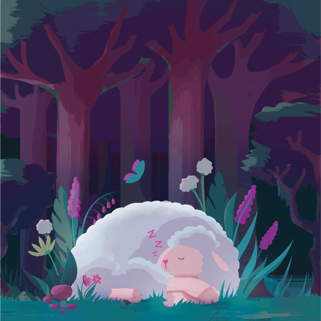 Shleep Kit Image